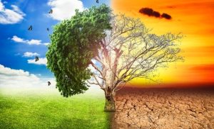 NTQ2MTMyMTA0MzQ5NzE2MzGvwOCIzOFn8MAkSJaIiokpohDtTx_CGWxO02B8WMaRhwQmx2uRjVA0qA5KQfTBl6ApTZ1QRL1_Ita9M6v5M66BbsVOO78O5gJtQw8W_SR2-300×182